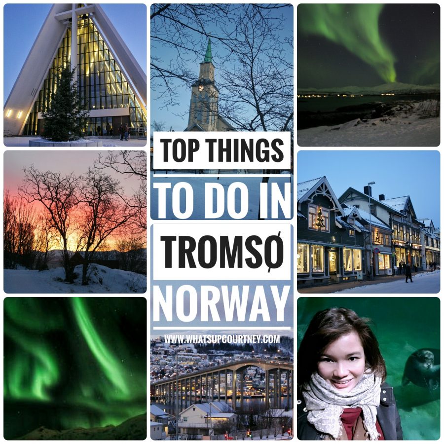 Things to do in Tromso Norway www.whatsupcourtney.com