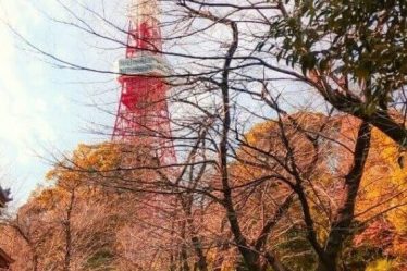 View of Tokyo Tower from Zozoji Temple at Roppongi district in Tokyo - Read more at www.whatsupcourtney.com