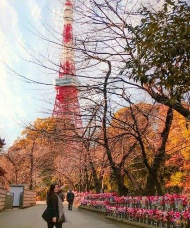 View of Tokyo Tower from Zozoji Temple at Roppongi district in Tokyo - Read more at www.whatsupcourtney.com