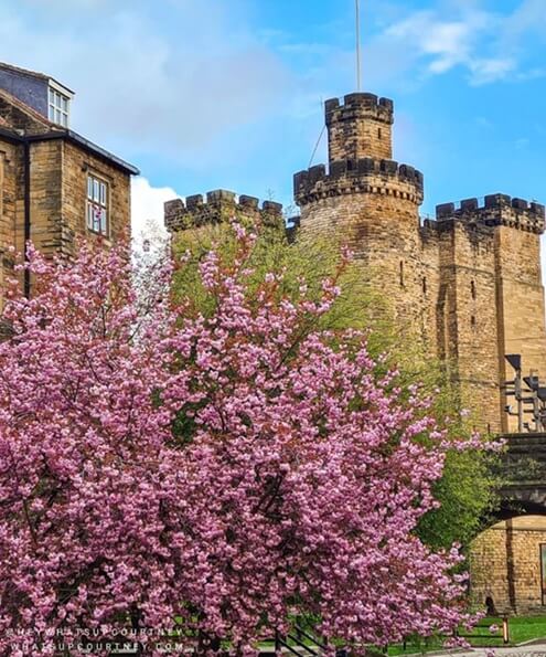 Castle keep at Spring in newcastle Upon tyne whatsupcourtney