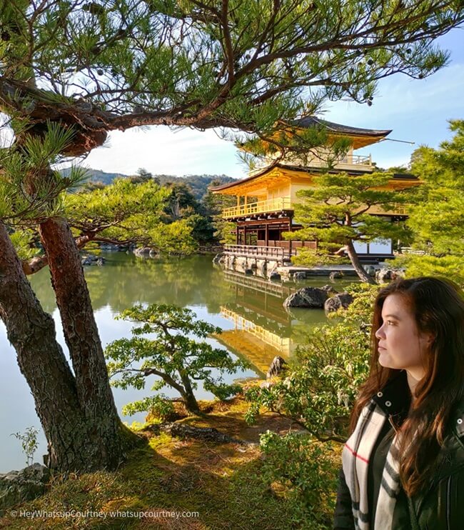 Great spot for a picture at Kinkaku-ji temple in Kyoto Japan