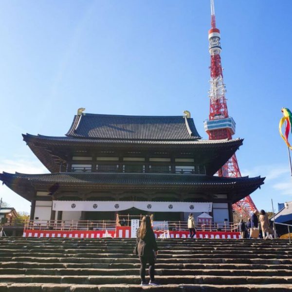 Tokyo tower and temple in Japan