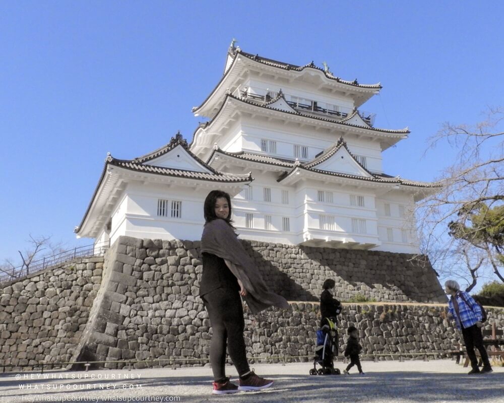 Front of the beautiful Odawara castle in Japan, a must see when you visit Odawara