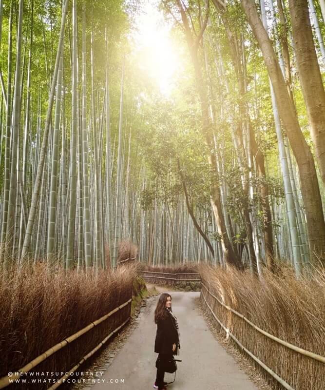 Courtney posing at Arashiyama Bamboo Forest in Kyoto