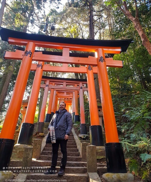 George at fushimi inari torii gates kyoto