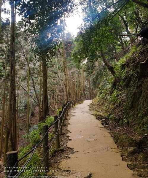 The Leafy uphill walk pathway to Arashiyama monkey park in Kyoto