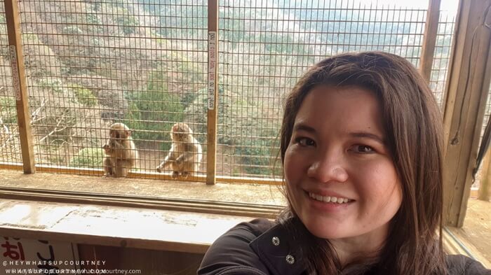 Inside the feeding hut at the monkey park in Kyoto, with the Macques monkey waiting outside for the food