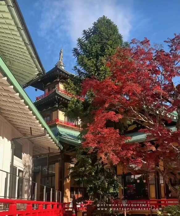 Fujiya hotel hakone japan garden
