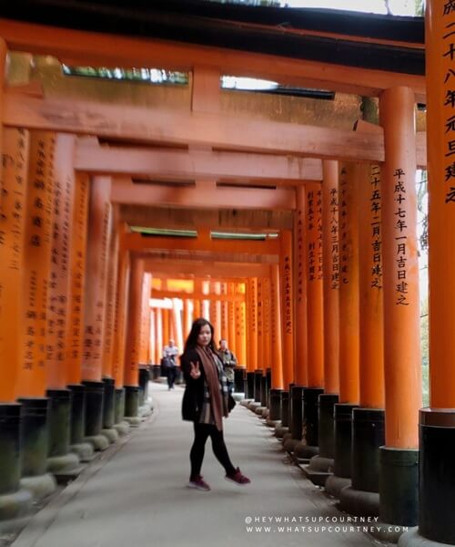 Fushimi inari torii gates upper level part and it's much quieter up here for pictures and videos