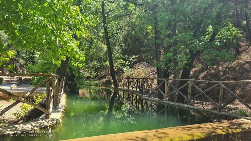 Valley of the butterflies water pond in Rhodes