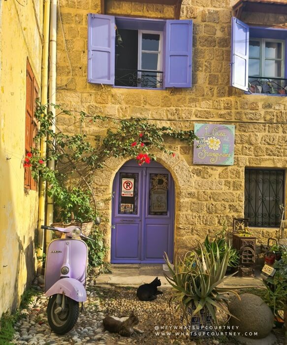 Rhodes old town shop and cat with a scooter in the morning