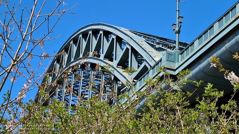 Tyne bridge with trees and blue skies in the quayside of Newcastle Upon Tyne