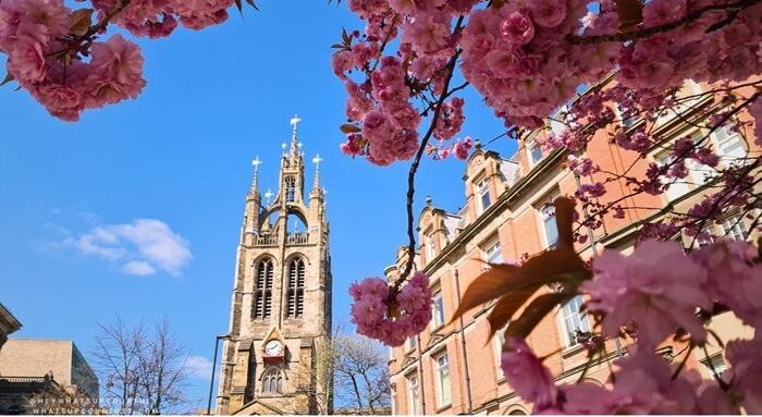 Newcastle Cathedral at the bottom of Bigg Market, with cherry blossom trees